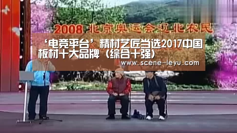 ‘电竞平台’精材艺匠当选2017中国板材
